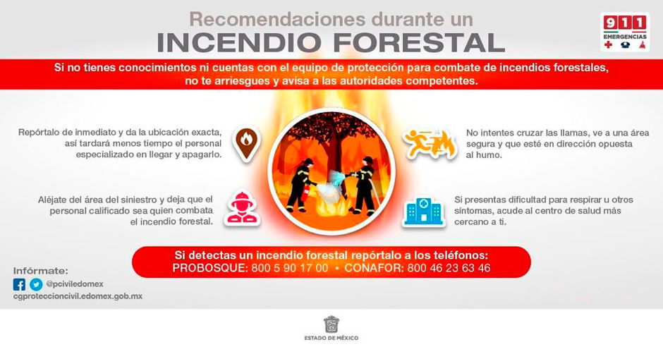 Incendios Forestales Coordinación General De Protección Civil Y Gestión Integral Del Riesgo 1808
